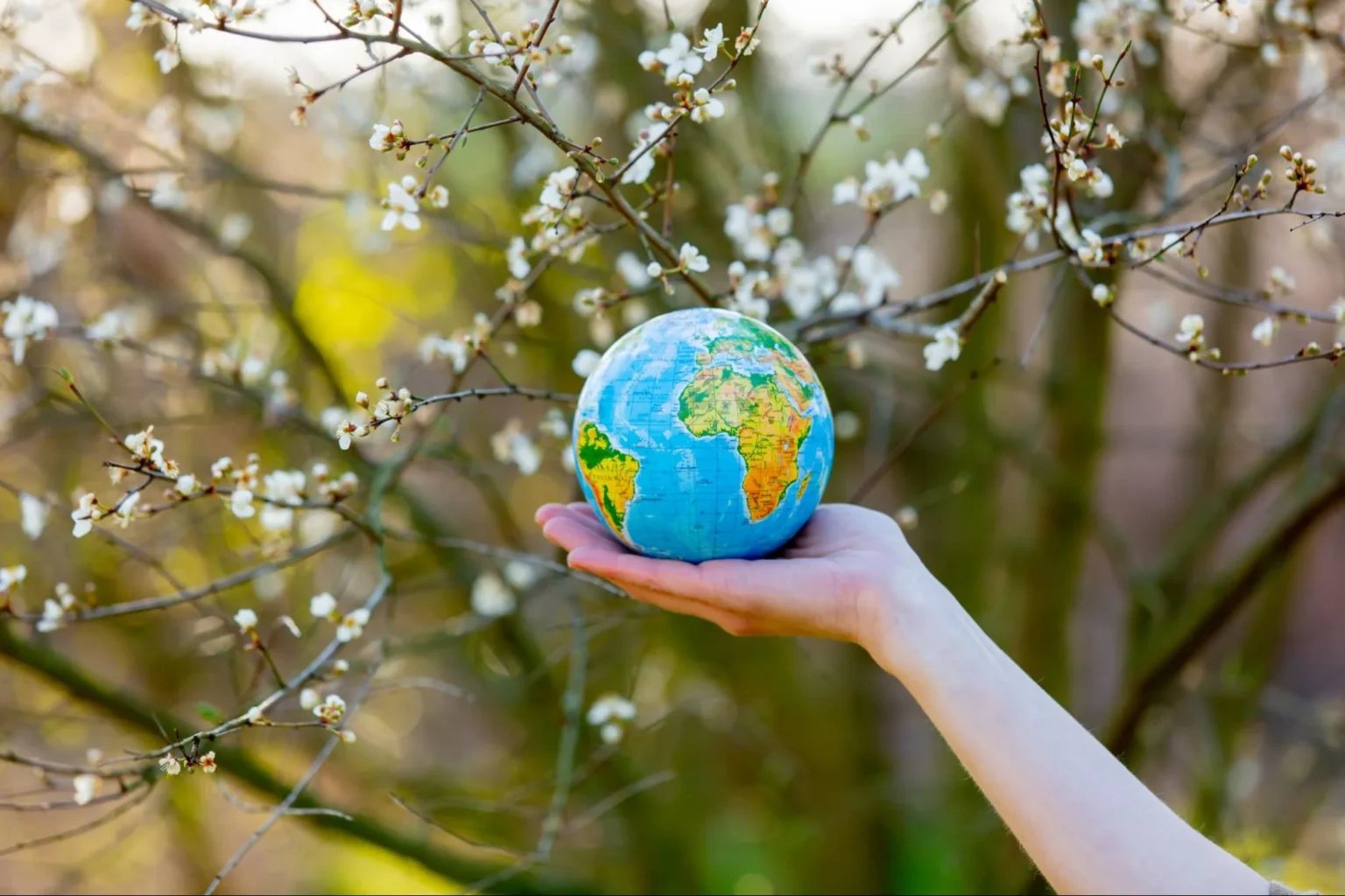 A hand gently holding a small globe in front of a blooming tree with white spring blossoms, illustrating how a sustainable garbage bags manufacturer can go beyond the bin to help build a circular economy.